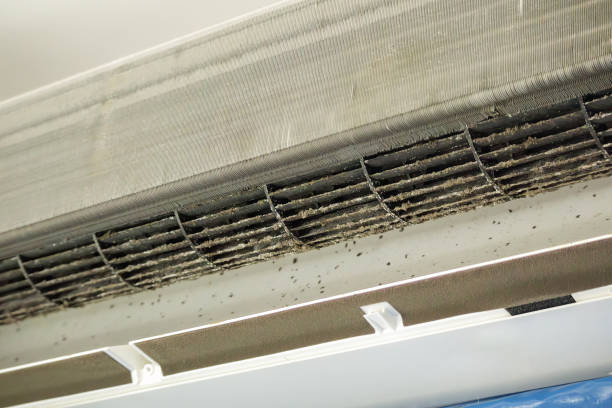 Best Commercial Air Duct Cleaning  in Newington Forest, VA